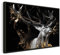 murando Bilder mit Rahmen 60x40 cm Wandbilder groß Leinwandbild XXL schwarzer Holzrahmen modern Wanddekoration Kunstdruck Wanddeko Wohnzimmer Schlafzimmer Deko Abstrakte Tier Wald Natur Flamme