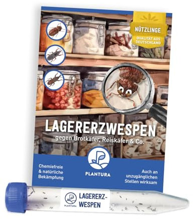 Plantura Lagererzwespen gegen Brotkäfer, Reiskäfer, Kornkäfer, Tabakkäfer, Bohnenkäfer & mehr, 40 Nützlinge, 1 Röhrchen für 10 m²