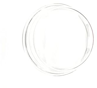 HUBLOT VERRE pour LAVE LINGE THOMSON - 55X3049