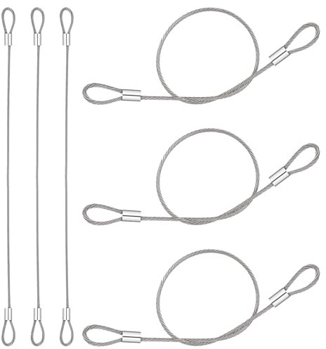 6PCS Stainless Steel Cable with Loops, Rope Lanyard Lock Security Chains Stage Light Safety Cables Wire Ropes with Lock for Outdoor Gates Stage Lighting Luggage