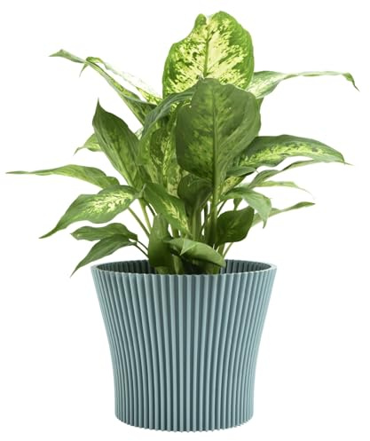 B2C Matt Ribbed Flower Pot – Modern Flared Conical Planter with Pleated Design, Lightweight, Indoor/Outdoor Decorative Plant Pot – Multiple Sizes & Colors (Green Mint, 17cm)