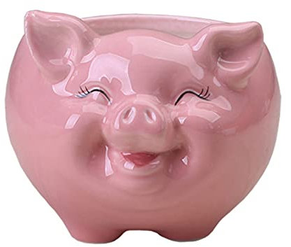 Nordischer Stil Keramik Blumentopf Cartoon Tier Schwein Sukkulenten Bonsai Topf Übertopf für Innen Außen Garten Hof Dekor