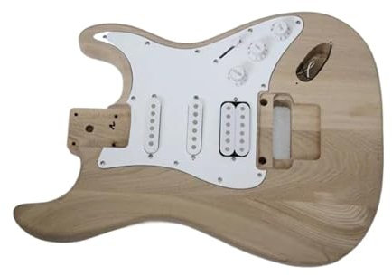Guitar body DIY Electric Guitar Build Kit DIY Includes All Accessories