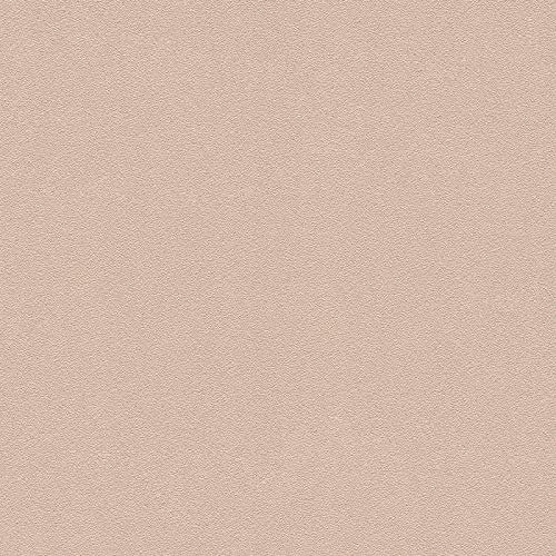 BRICOFLOR Papier peint intissé beige rose pour salon Tapisserie cuisine beige unie Papier peint uni facile à poser pour couloir et bureau