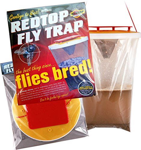 Original Red Top Fly Trap