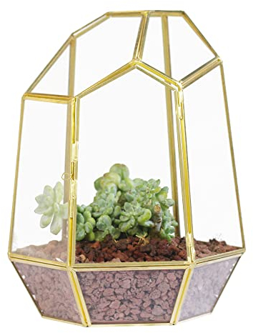 NCYP Close Geometrisches Glasterrarium mit Tür für Sukkulenten Kakteen – handgefertigt 24,9 cm Gold – Gartenarbeit Messing unregelmäßiger Übertopf für Zuhause, Tischdekoration (nur Terrarium)