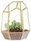 NCYP Close Geometrisches Glasterrarium mit Tür für Sukkulenten Kakteen – handgefertigt 24,9 cm Gold – Gartenarbeit Messing unregelmäßiger Übertopf für Zuhause, Tischdekoration (nur Terrarium)