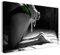 Leinwandbild (30x20cm) Sexy Frauen Fotografie - Erotisches Bild mit Perlen, echter Holz-Keilrahmen inkl. Aufhänger, handgefertigt in Deutschland
