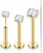 Chriscoco 3PCS 20G G23 Titan Gold Tragus Piercing Labret Piercing Nasenpiercing Stecker Lippenpiercing 2/3/4MM CZ Piercing Ohr Monroe Medusa Piercing Helix Piercing Jewellery 6/8/10MM