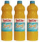 Bautzner - Senf Mittelscharf 1000ml 3er Pack - 3x1000ml