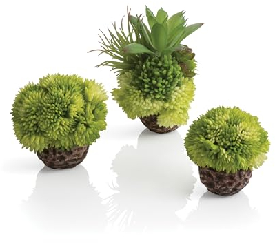 biOrb 72683 Korallenball Set grün, 8 x 8 x 9 cm - Aquarien-Dekoration, Deko-Element für Aquarium, naturnahe Aquarienpflanze
