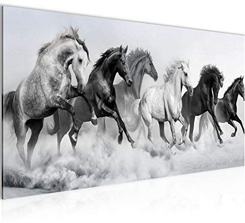 Runa Art Wandbild Pferde 1 Teilig 100 x 40 cm Modern Bild auf Vlies Leinwand Tiere Wohnzimmer Schlafzimmer Schwarz Weiss 032512c
