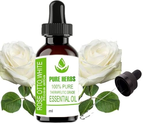 Pure Herbs Huiles essentielles Rose Otto White (Rosa Alba) (30 ml)