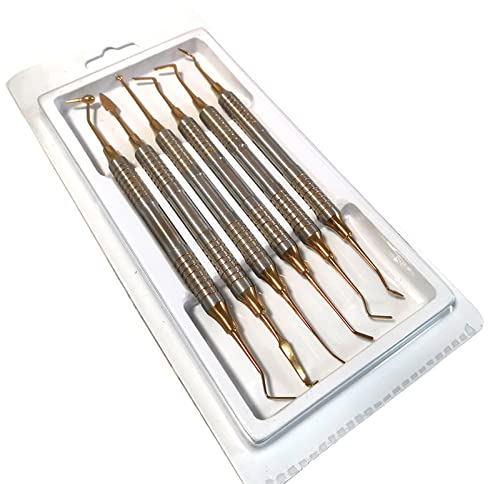 Lxwyq Kit De Réparation Esthétique en Résine 6 Pièces, Spatule De Remplissage en Résine Composite pour Instrument Dentaire