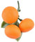 YiQinzcxg Künstliche Mandarinenfrucht Simulation Mandarine Obst Fotografie Requisiten für Küche Party Dekorationen Korb Display