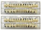 Lot de 56 fausses dents en résine synthétique - 23 A3