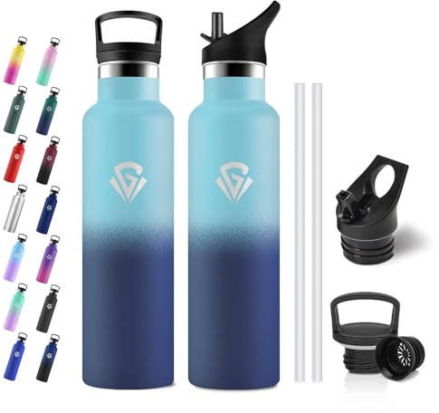 JAPORIA Gourde Isotherme 750ml, Bouteille Isotherme en Acier Inoxydable, sans BPA, Gourde Inox avec Paille pour Adultes, École, Randonnée, Jogging