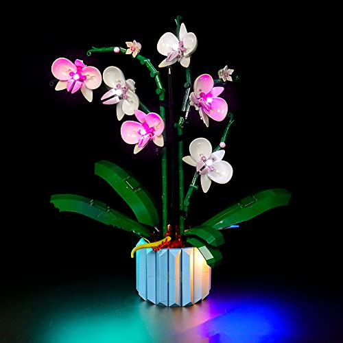 LocoLee Led Licht Set Kompatibel mit LEGO 10311 Orchidee Blumen Botanical Collection ( Nur Lichter-Set, kein Baustein), Beleuchtungsset Compatible with Lego Orchideen, Nur Lichter (Classic Version)