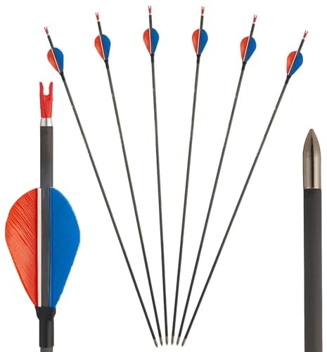 Toparchery 6er Carbonpfeile 31 Zoll Reine Carbon Pfeile für Bogenschießen | |ID 4,2 mm ,mit Naturfedern, Spine 700/900, für Anfänger & Profi, für Recurvebogen Compoundbogen,Bogenschießen erwachsene