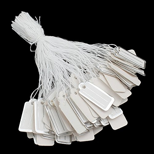 Perlin Etiketten mit Faden Preisetiketten Preisschilder Faden Etiketten Schmucketiketten Fadenetikett Hängeetiketten Kartonetikett Preisauszeichnung 300 Stück (22 x 11 mm Weiss Silber)