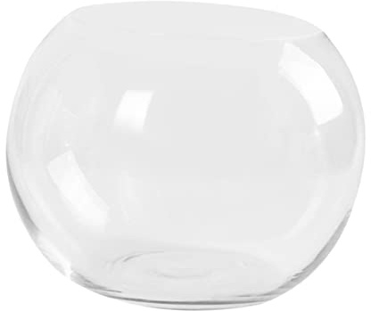 RORPOIR Glass Vase Ball Hydroponics Plant Holder Creative Desktop Fish Tank Ornament for Home Office