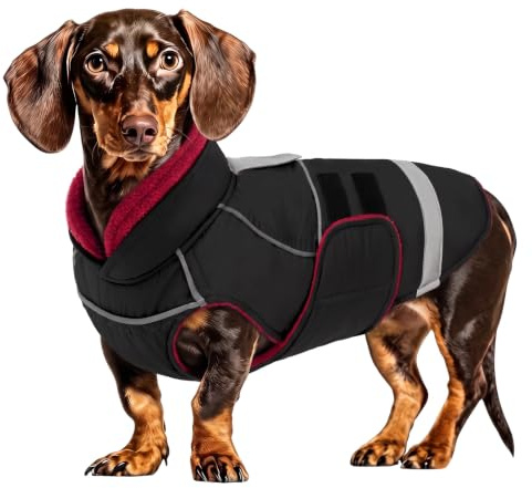 CITÉTOILE Wasserdichter Hundemantel mit Leinenöffnung Schwarz L | Zweifarbige Hundejacke mit Klettverschluss, Warm Winter Hundekleidung mit Reflektoren, Wintermantel mit Bauchschutz für Hunde