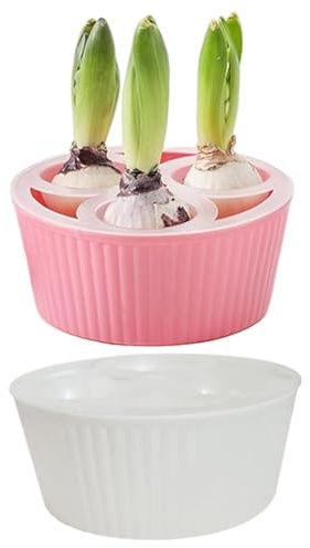 Grsrkep Confezione da 2 fioriere per bulbi per coltivazione - Vaso bianco a 3 scomparti con indicatore del livello dell'acqua per tulipani, giacinti e bulbi di narcisi