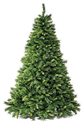XONE Albero Royal 180CM