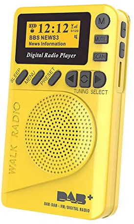 Shkalacar Pocket DAB Digital Radio Mini DAB + Radio digitale con lettore MP3 Radio FM Display LCD