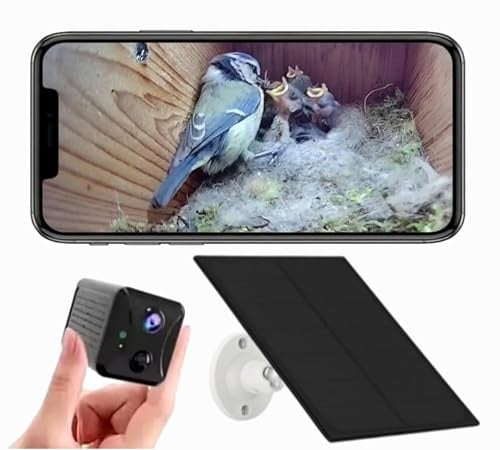 PeekWild Solar Bird Box Camera with WiFi – Wireless HD Nest Box Camera with Night Vision | Live Stream Garden Birds to Your Phone | Solar Powered Wildlife Camera for UK Gardens