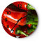 Modern Wanduhr Gemüse würzig Chili 30x30cm Rund Klein Wand Uhr Glas Analog Zimmeruhren Küche Büro Wohnzimmer Glasuhr Wall Clock Dekoration Design Wanddekoration Küchenuhr C4AR30x30-1135