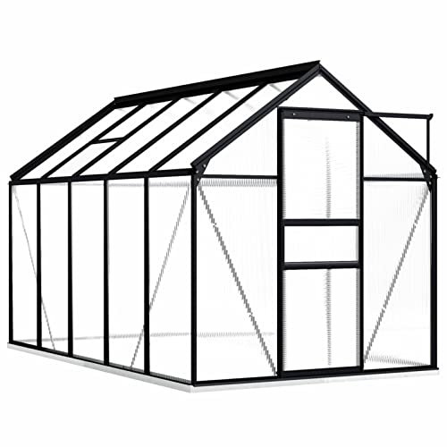 Festnight Invernadero de Aluminio XXL con Marco,Invernadero de Jardín 5,89 m² Policarbonato Transparente Invernadero de Vidrio Casero Plantas Cultivos Antracita y Transparente