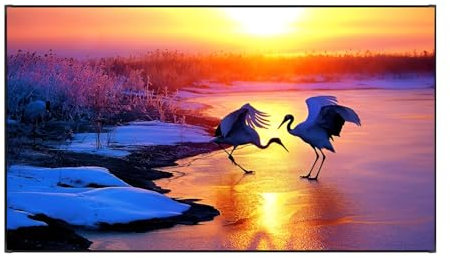 XQJLBZA Pantalla de Proyeccion de 72 Pulgadas, 16:9 4K Ultra HD 3D, Antiarrugas Pantalla de Cine para Cine en Casa y Fiestas en el Jardín