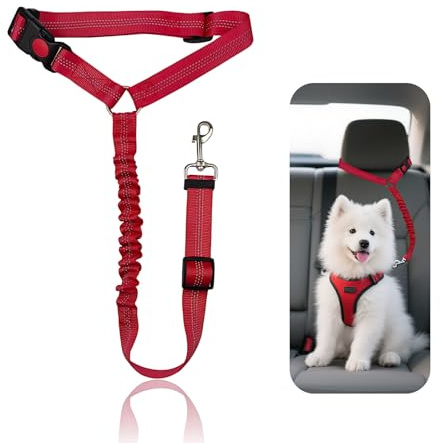 Nevoluxer Ceinture de sécurité| Harnais pour Petits & Moyens | Laisse Chien Voiture réglable (50-65 cm) | Ceinture securite Chien Voiture | réflecteurs Nocturnes