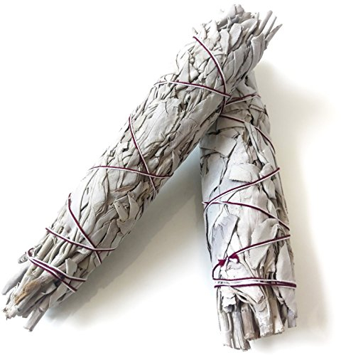 Farbenwald - Sauge Blanche, 2 Grands Bâtons, Encens, Purification a bruler pour la Maison, de Californie, Salvia Apiana