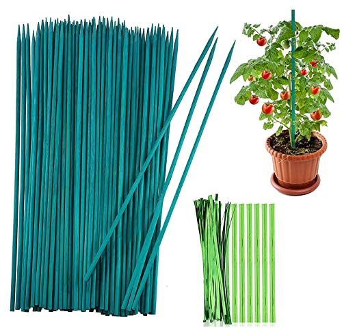 Lot de 50 tuteurs de plantes de 30 cm - Bâtons de fleurs vertes en bambou avec 50 liens métalliques - Pour la maison, le jardin, les plantes grimpantes