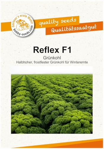 Grünkohl Reflex F1 Kohlsamen von Bobby-Seeds