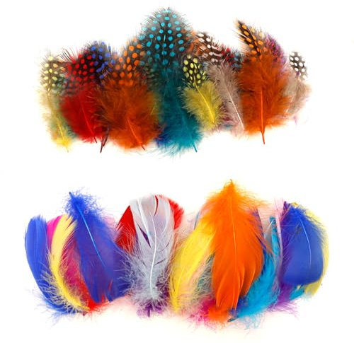 ENLACE Bunte Federn zum Basteln, 200 Stück Federn Bunt 4,5-12 cm, Perlhuhnfedern und Gänsefedern Gemischte Federn, Bastelfedern für Hochzeit Traumfänger Kopfschmucksfedern DIY Ohrring