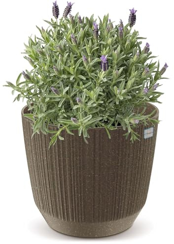 EDANTI Blumentopf ECO Pflanzentopf Blumenkübel Runde Blumentöpfe Klein Natürlicher Töpfe mit Holz Pflanzkübel Übertopf Innen- und Außenbereich für Blumen Garten Balkon Terrasse Haus (Braun, 12,6 cm)