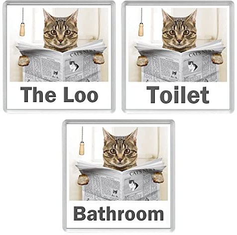 BROWN TABBY CAT READING A NEWSPAPER ON THE LOO Novelty Acrylic Toilet Door Sign (3 WORDINGS)