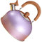 Stainless Steel Tea Kettle, Vintage Whistling Tea Kettle Water Teapot Boilers Stainless Steel Art Line Black Kettle (Purple)