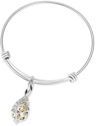 BIAIHQIE Tropfenförmiges Armband zur Aufbewahrung von Asche, Edelstahl-Anhänger, Urnenschmuck, Erinnerungsstück für Mensch und Haustier, Geschenk für Frauen – Gold