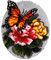 Orchidea - Knüpfteppich mit Knüpfhaken - Schmetterling - Bedruckte Stramin - 4.5 Count - Für Erwachsene - 30.4083