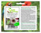 Stk - 5x Stapelia gigantea Kaktus Stern Garten Pflanzen - Samen B290 - Seeds & Plants Shop by Ipsa
