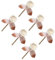 RORPOIR 6St Aromatherapie-Rattan wohnungseinrichtung wohnungsdeko räucher stövchen Duftdiffusor Diffusor mit ätherischen Ölen Aromazerstäuber Schilfrohr-Diffusor Aroma-Sticks Duftstäbchen