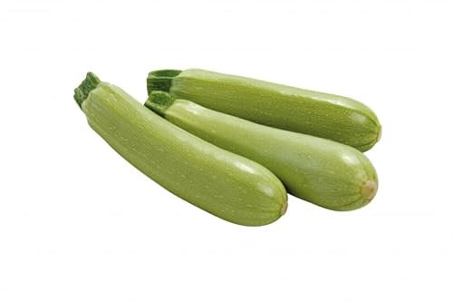 Zucchini Saatgut Isolde F1, Gemüsesamen, grün, 10 Korn, Deutschland, Samen, Frühjahr, outdoor