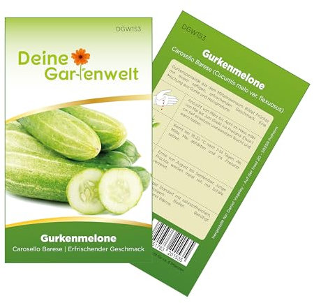 Melonengurke Gurkenmelone Carosello Barese Samen - Cucumis melo var. flexuosus - Gurkensamen - Melonensamen - Saatgut für 6 Pflanzen
