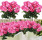 Laelfe 4 Pcs Geranios Artificiales Exterior, Flores Artificiales Decoracion Geranios para Exterior Interior Hogar Balcón Jardin Patio Maceta Colgante Decoración de Mesa (Rosa-4 Pcs)