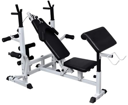 QUAHEAS Multifunktionale Hantelbank aus Stahl mit Verstellbarer Rückenlehne 7 Stufen, Arm-Curl-Kissen, Hantelablage für Kraftstation, Fitnessgerät, Gewichtheben, Muskelaufbau, Bankdrücken