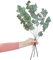 BUTLERS Flower Market - Trockenblumen Eukalyptus L 60cm - Blumen in Grün - für hohe Vasen